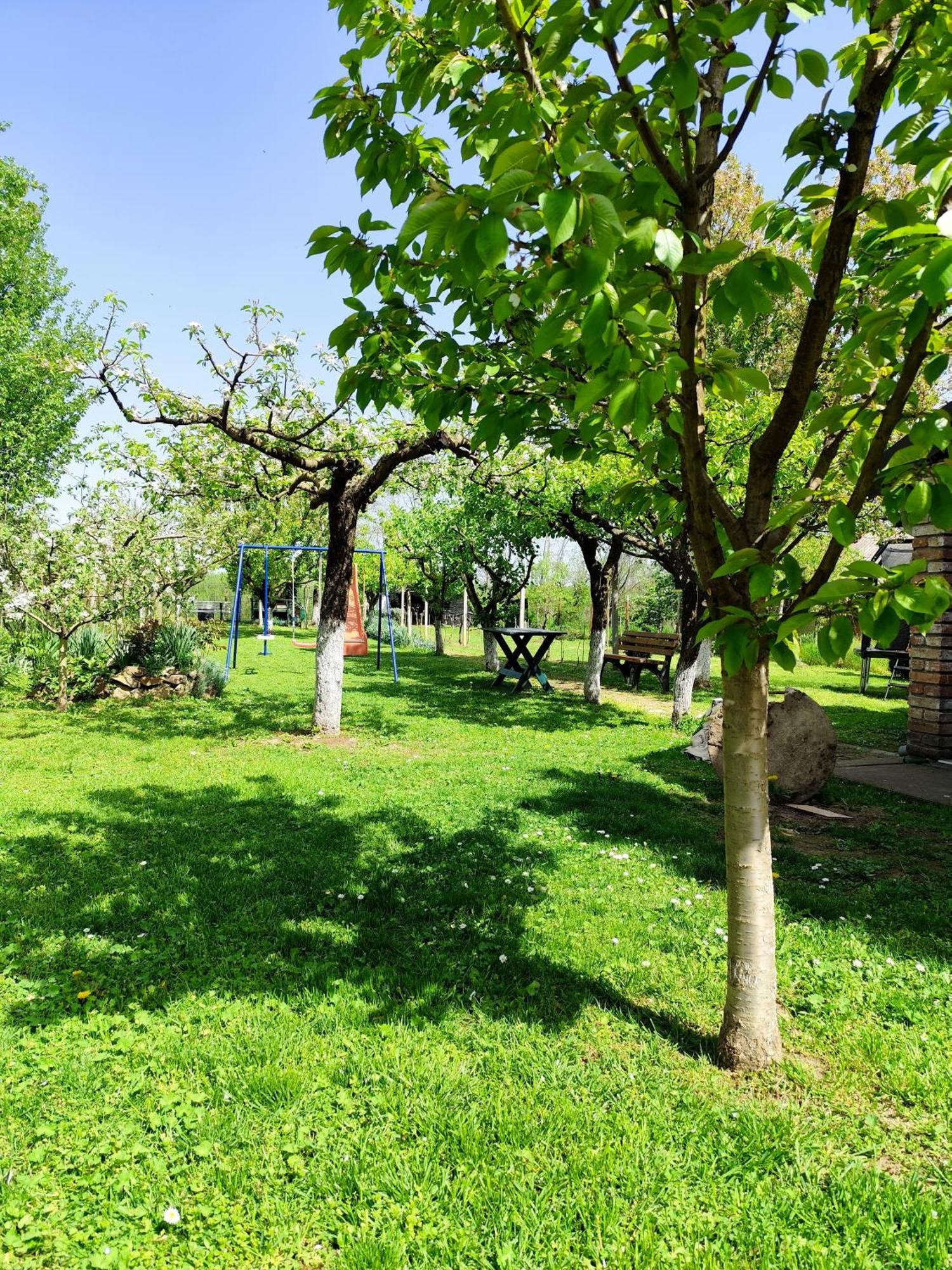 Kuca Za Odmor Mirni Kutak Vukovar Exteriör bild