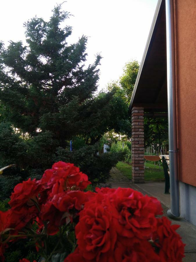 Kuca Za Odmor Mirni Kutak Vukovar Exteriör bild