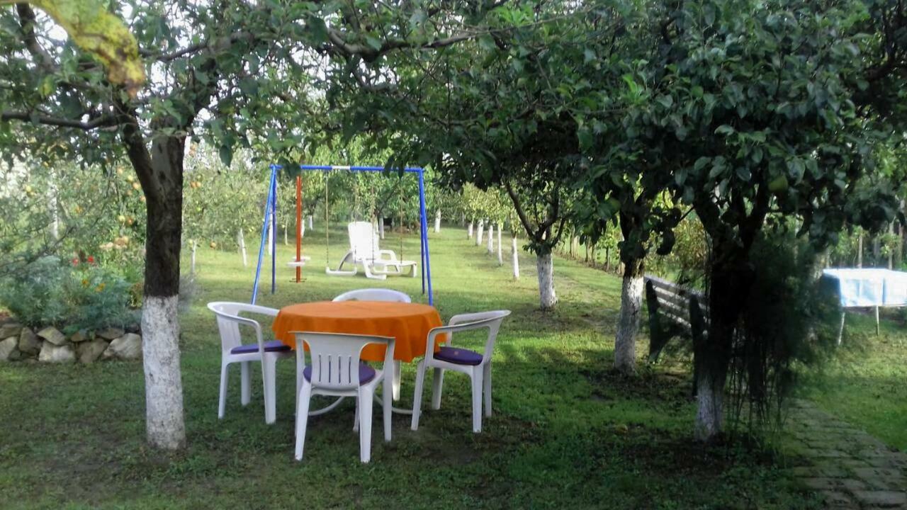 Kuca Za Odmor Mirni Kutak Vukovar Exteriör bild